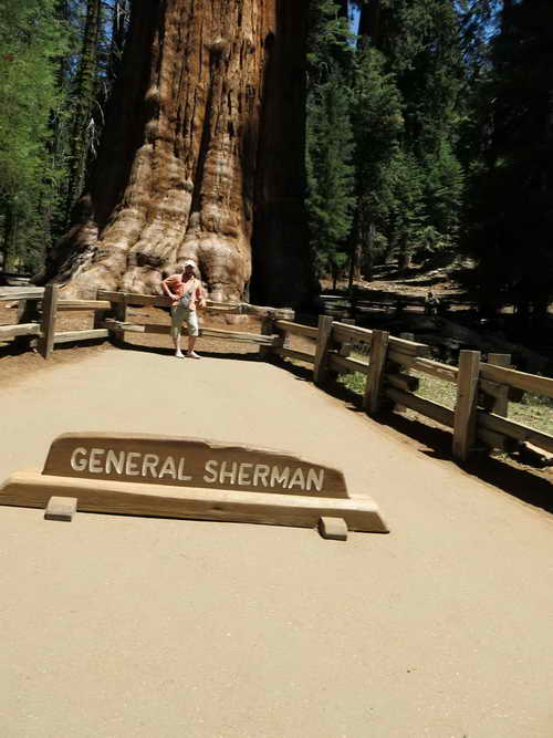 USA_2013-07-07 12-07-51_IMG_1145